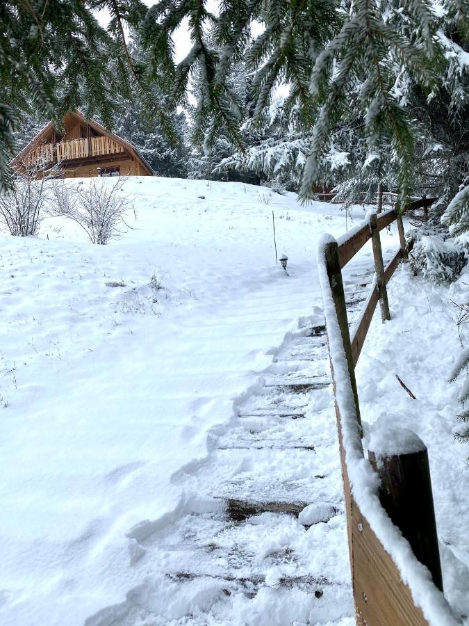 Chalet De La Grimpette Au Coeur De Gerardmer Exterior photo