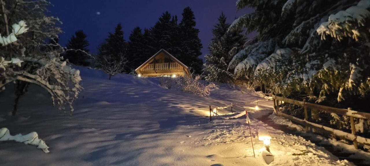 Chalet De La Grimpette Au Coeur De Gerardmer Exterior photo